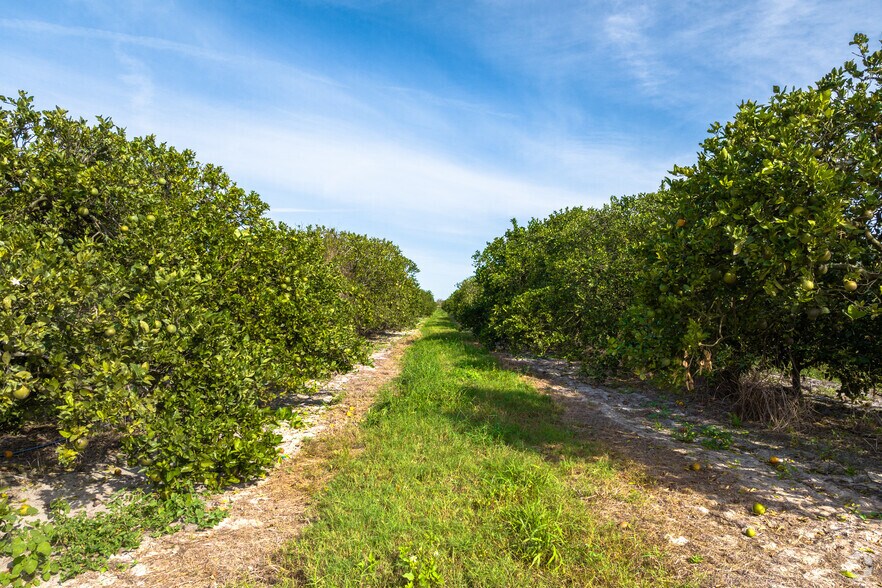 More Photos Of 8476 Ten Mile Grade, Zolfo Springs Land For Sale