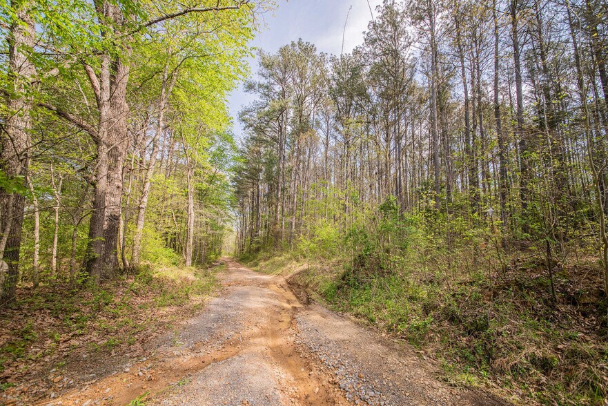 More Photos Of 84 Launch Ln, Murray Land For Sale