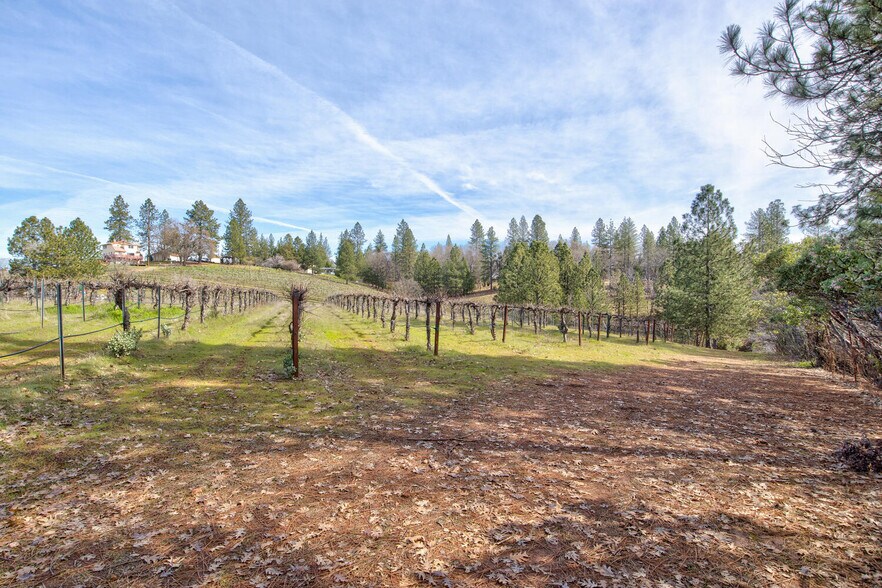 More Photos Of 4771 Greenhills Rd, Placerville Winery Vineyard For Sale