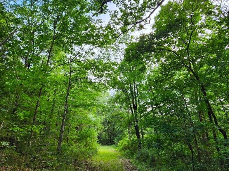 More Photos Of 2725 White Rd NE, Conyers Land For Sale