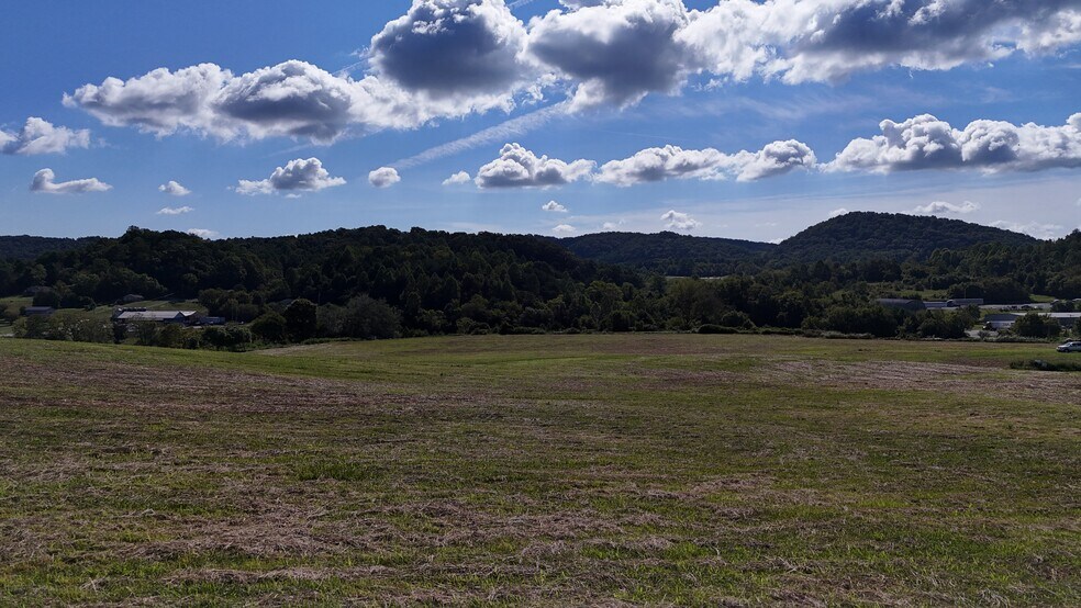 More Photos Of 195 Joe R McCrary Rd, Fall Branch Land For Sale