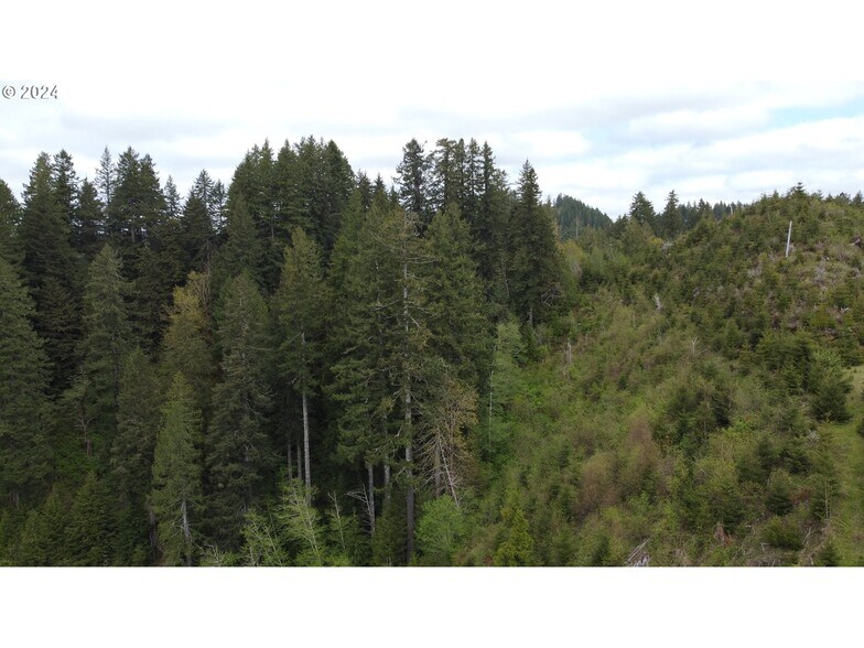 More Photos Of 18-10-00-00-01300500, Mapleton Land For Sale