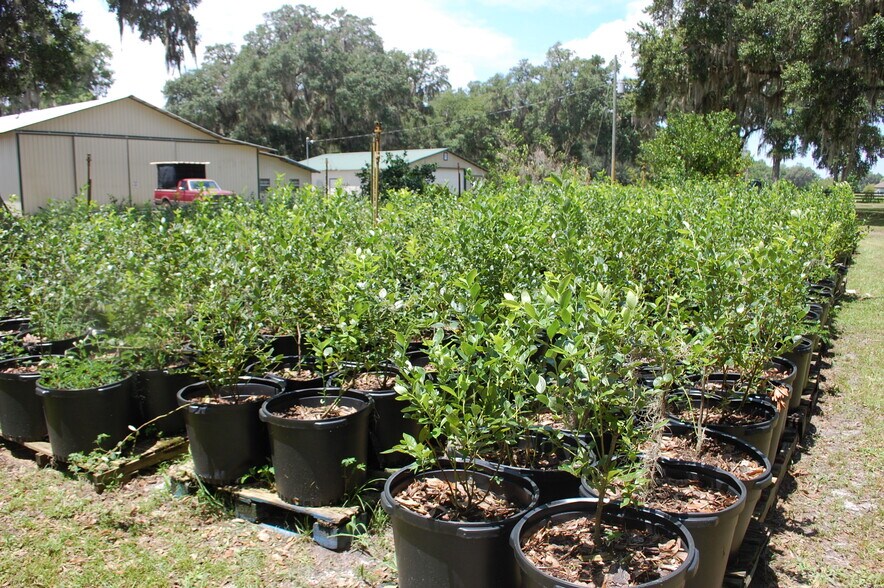 More Photos Of 18811 SE 243rd St, Hawthorne Specialty For Sale