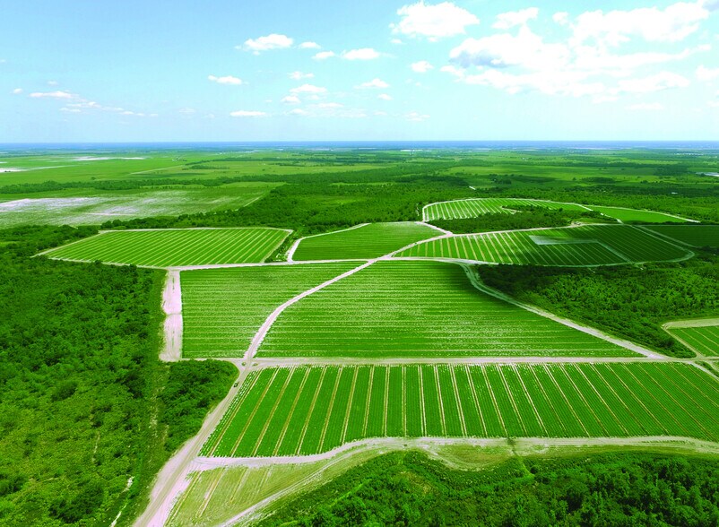 More Photos Of 40105 Ballard Rd, Myakka City Land For Lease