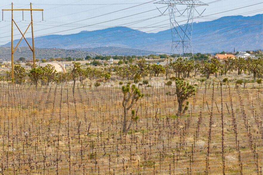 More Photos Of Fort Tejon Rd, Littlerock Land For Sale