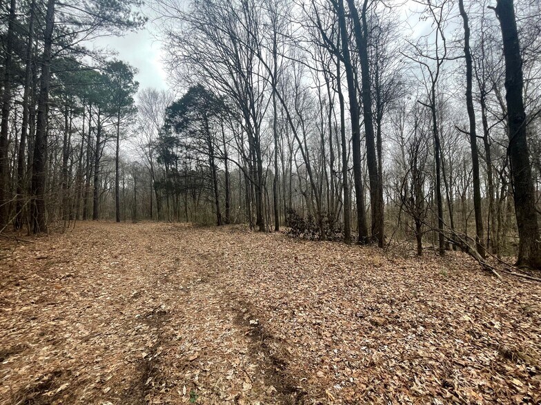 More Photos Of 0 Hwy 70 & Browns Church Road hwy, Jackson Land For Sale