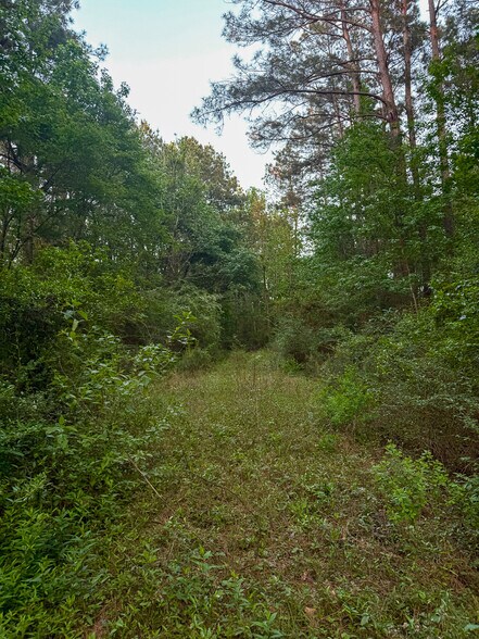 More Photos Of State Highway 75 South, Huntsville Land For Sale