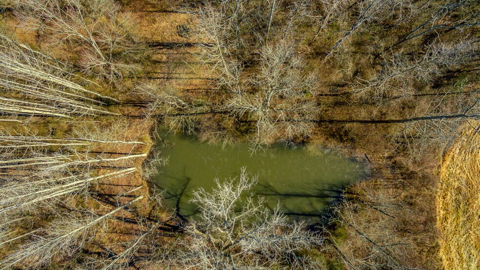 More Photos Of HWY 28 TN - 17.71 AC Marion County, Whitwell Land For Sale