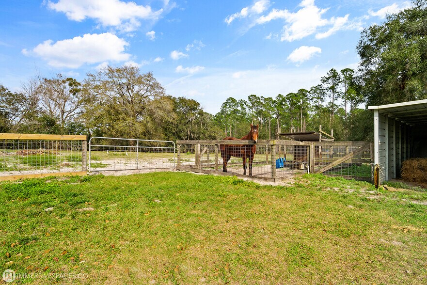 More Photos Of 590 Raulerson 1 rd, Seville Land For Sale