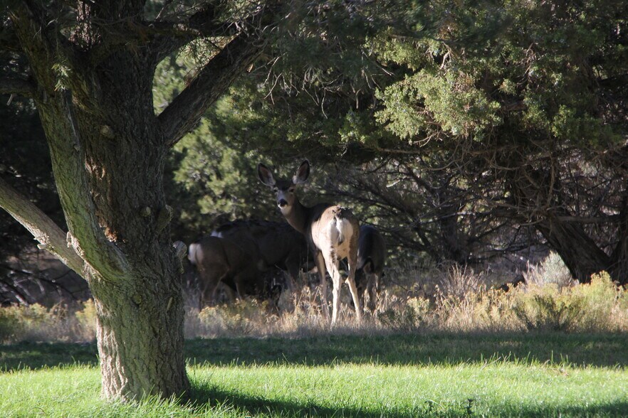 More Photos Of 1627 950 South, Parowan Land For Sale