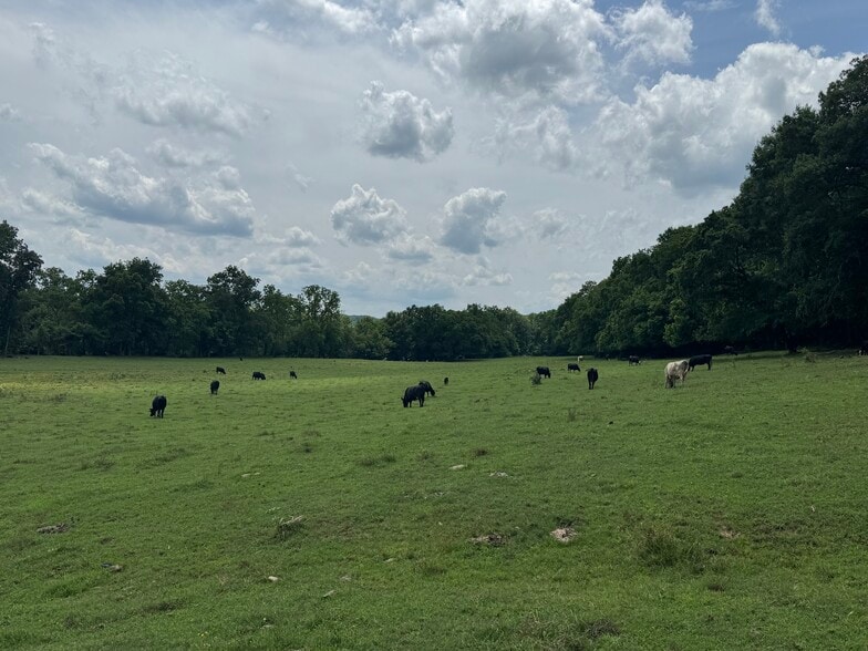 More Photos Of 210 Ridge Haven Dr, Surgoinsville Land For Sale