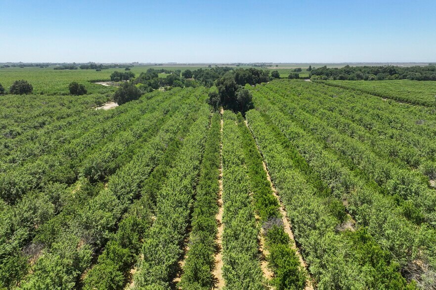 More Photos Of 9415 21st Ave, Lemoore Land For Sale