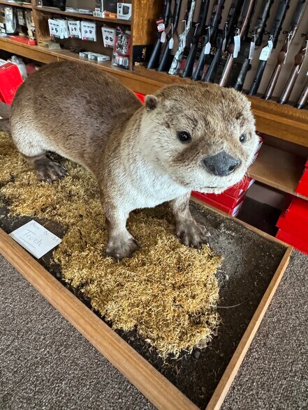 More Photos Of 215 W Main St, Marshall General Retail For Sale