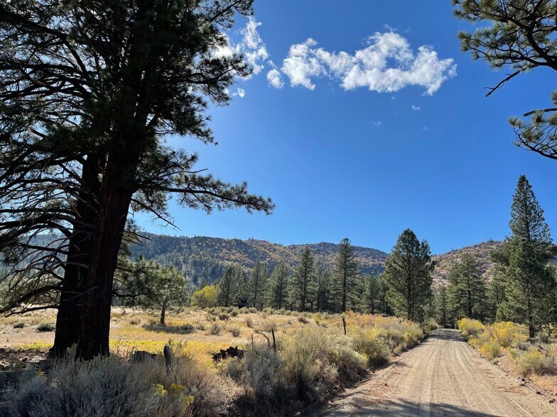 More Photos Of 415-025 Scott Rd, Doyle Land For Sale