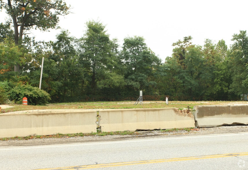 Primary Photo Of 1155 Bank St, Painesville Land For Sale