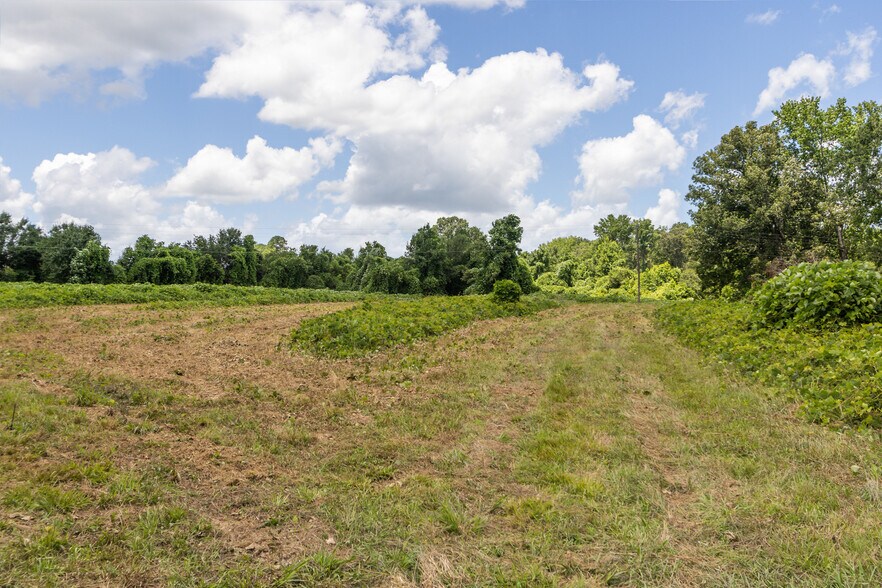 More Photos Of 23425 US Highway 76, Clinton Land For Sale