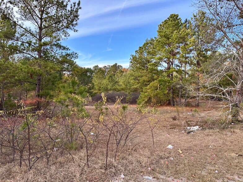 More Photos Of 2706 Emanuel Church Rd, West Columbia Land For Sale