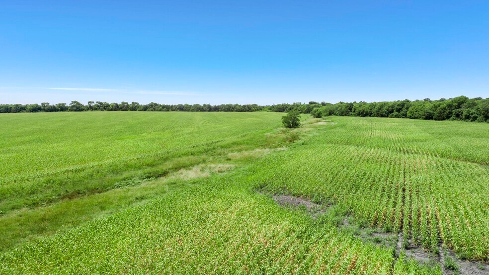 More Photos Of CR-1067, Greenville Land For Sale