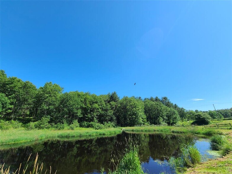 More Photos Of 282 Shore Rd, Swan Lake Land For Sale