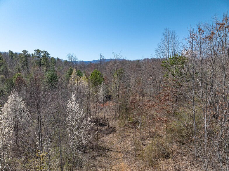 More Photos Of 00 Woodland Dr, Waynesville Land For Sale