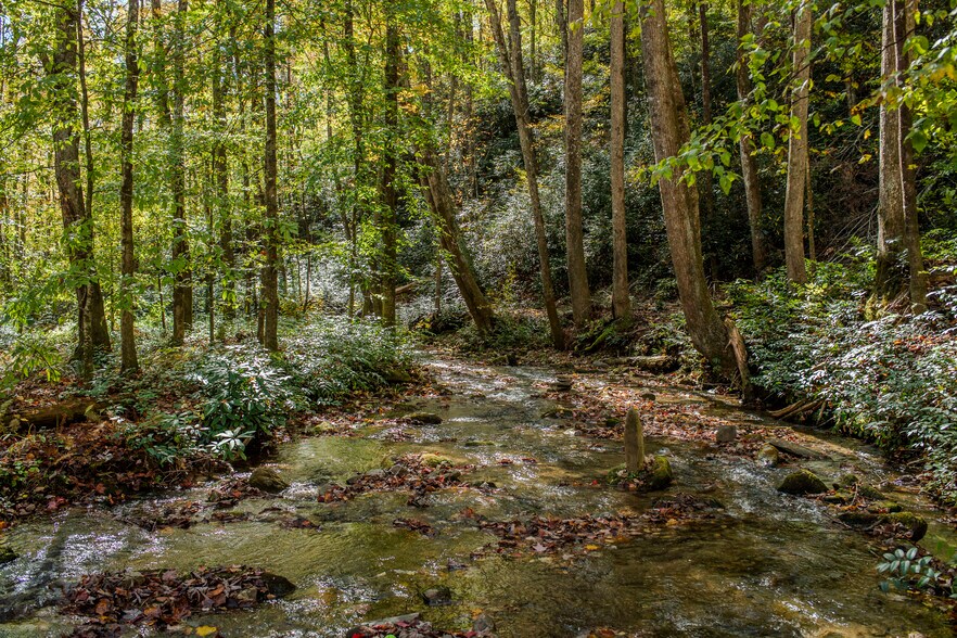 More Photos Of 195 Still Waters Ln, Brevard Land For Sale