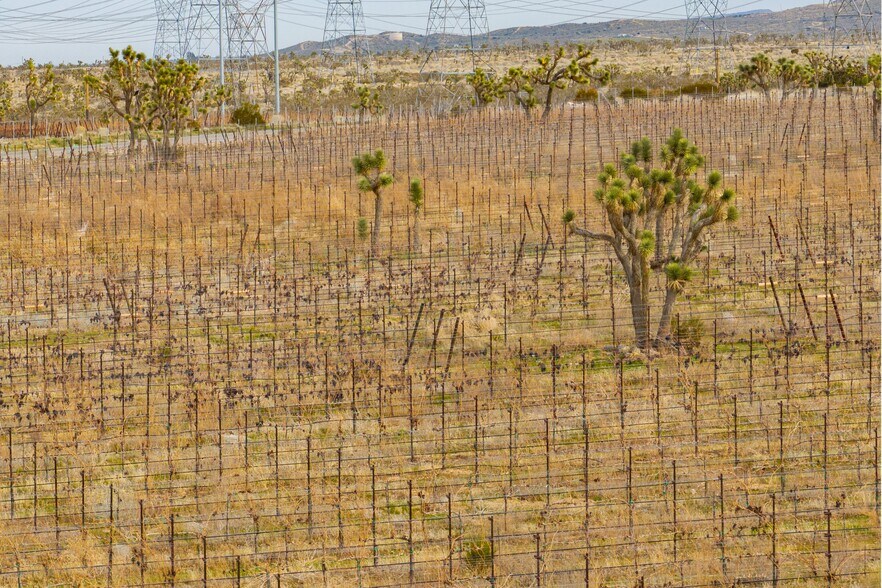 More Photos Of Fort Tejon Rd, Littlerock Land For Sale