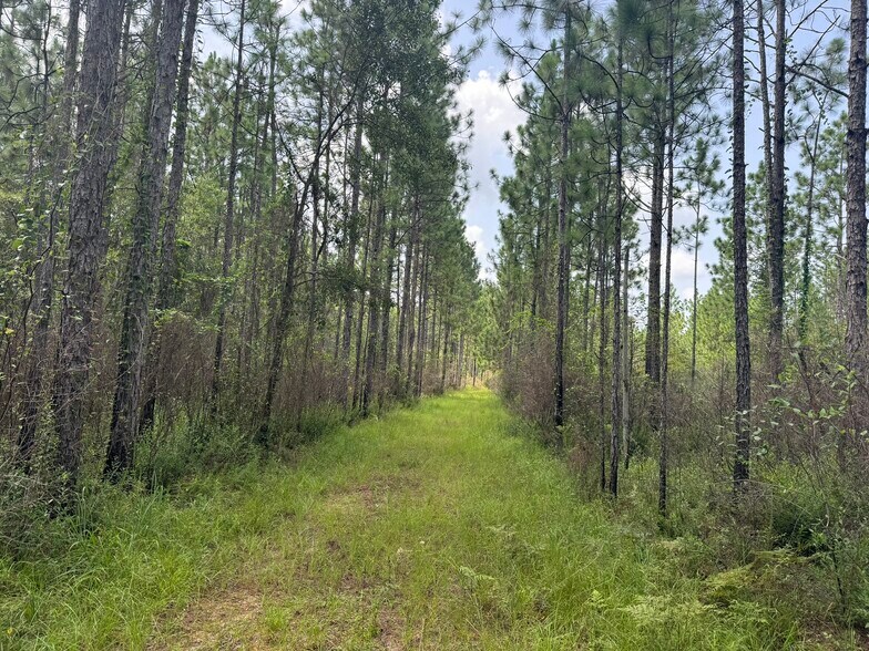 More Photos Of 0 Nokomis Road, Walnut Hill Land For Sale
