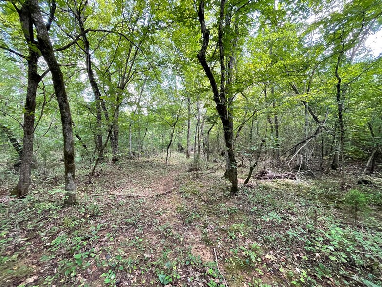 More Photos Of 23034 Highway 25, Columbiana Land For Sale