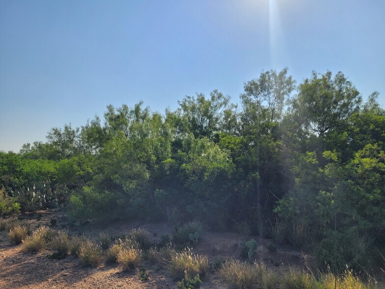 More Photos Of , Laredo Land For Sale