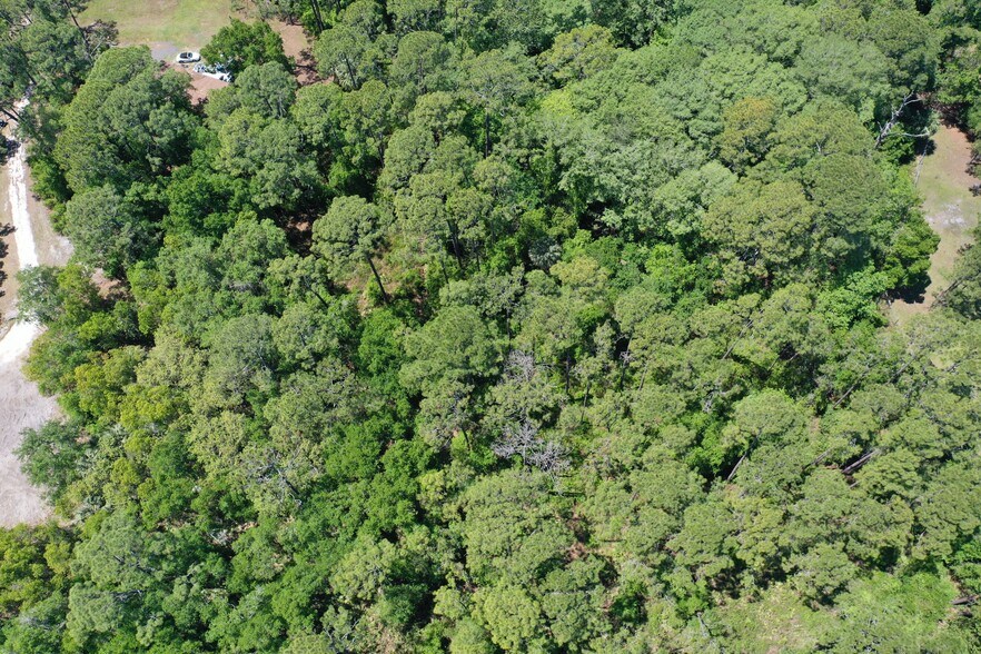 More Photos Of 638 Walnut St, Welaka Land For Sale