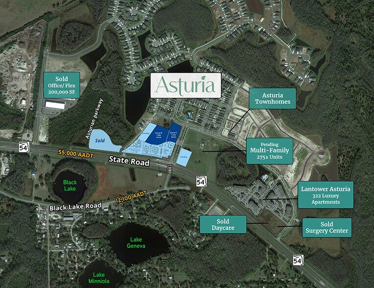 More Photos Of State Road 54, Odessa Land For Lease