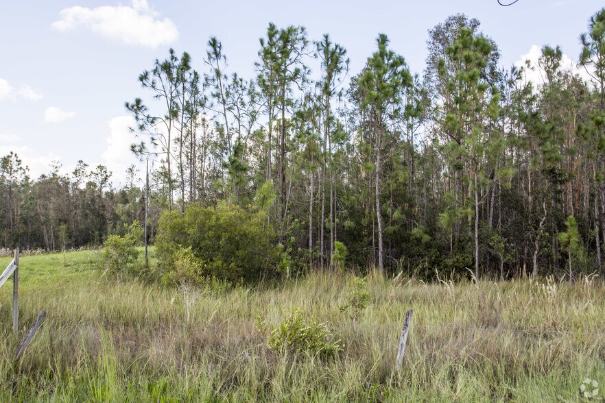 More Photos Of 10681 Colonial Blvd, Fort Myers Land For Sale