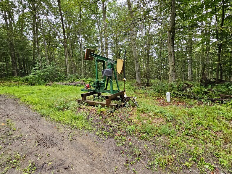 More Photos Of 3922 Kortwright Rd, Jamestown Warehouse For Sale