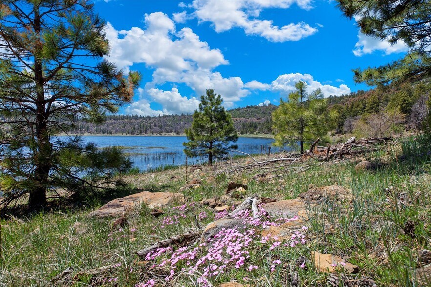 More Photos Of 00 Ponderosa Dr, Flagstaff Land For Sale