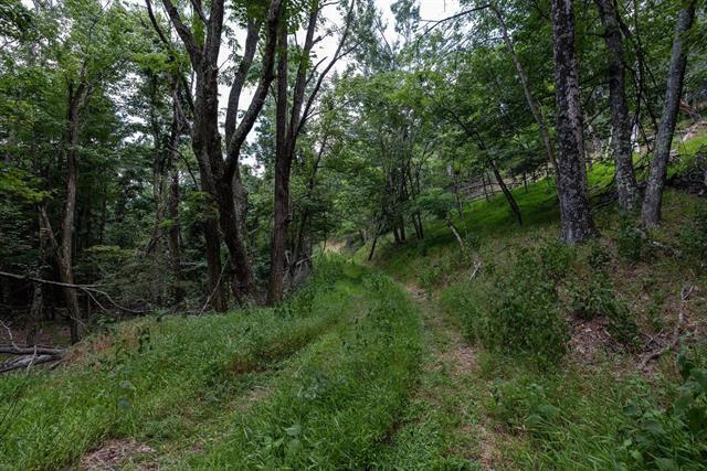 More Photos Of 22590 Criders Rd, Criders Land For Sale