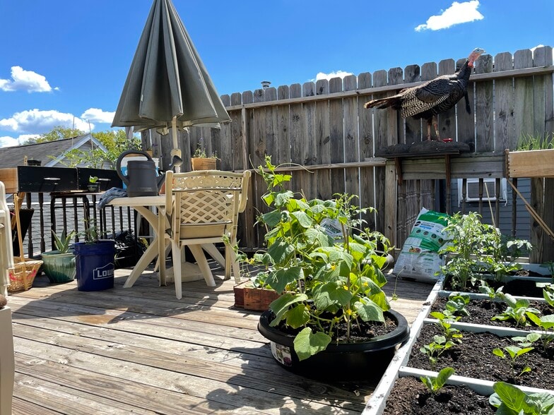 More Photos Of 57 E Garrison St, Bethlehem Apartments For Sale