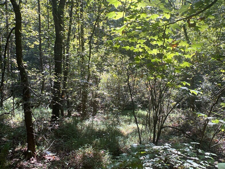 More Photos Of 124 S Kelley St, Tallapoosa Land For Sale