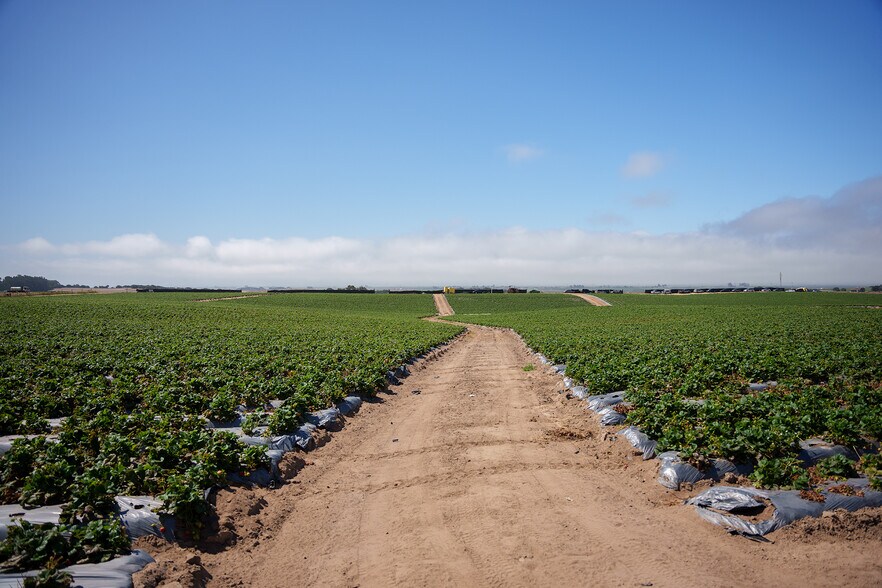 More Photos Of Blackie Rd, Prunedale Land For Sale