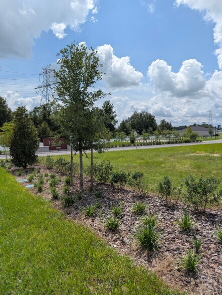 More Photos Of East Hwy 25, Belleview Land For Sale