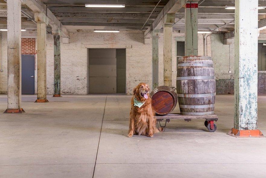 More Photos Of 315 Albemarle Ave SE, Roanoke Industrial For Lease