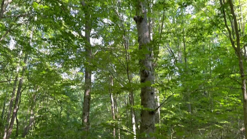 More Photos Of 400 Eden Church rd, Madison Land For Sale
