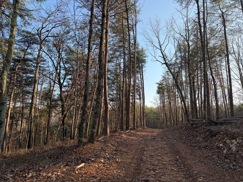 More Photos Of 260 Arnold Rd NE, Fairmount Land For Sale