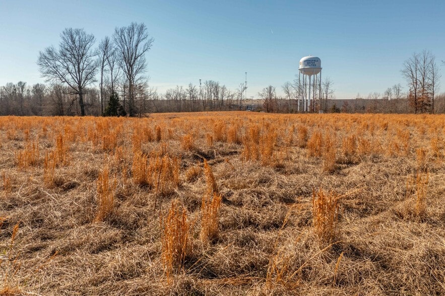 More Photos Of 0 York Rd, Pleasant View Land For Sale