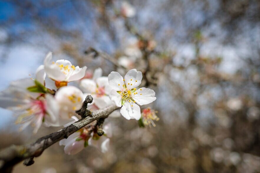 More Photos Of 7581 E Kings Canyon Rd, Fresno Land For Sale