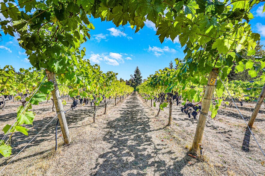 More Photos Of 1673 Woodland Dr, Port Townsend Winery Vineyard For Sale