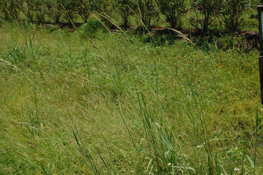 More Photos Of 18811 SE 243rd St, Hawthorne Specialty For Sale