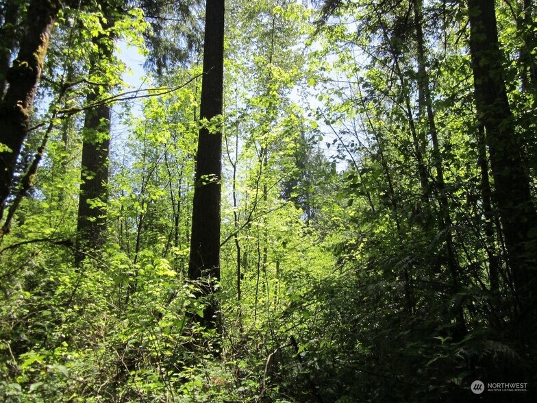 More Photos Of 20633 SE 388th St, Enumclaw Land For Sale