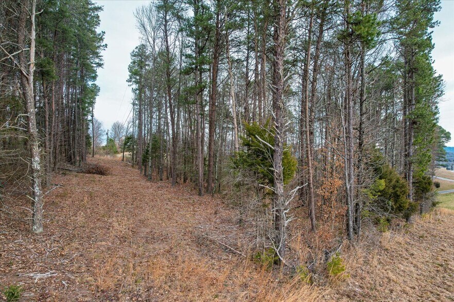 More Photos Of 9087 Hwy 58 Hwy 58, Harrison Land For Sale