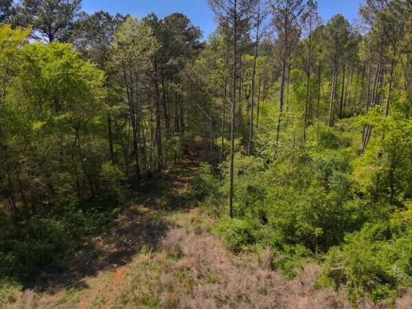 More Photos Of 0 S Sauty Rd, Langston Land For Sale