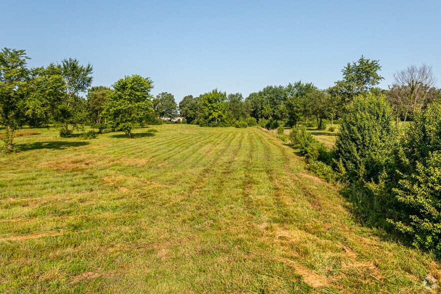 More Photos Of Elm Springs Rd, Springdale Land For Sale